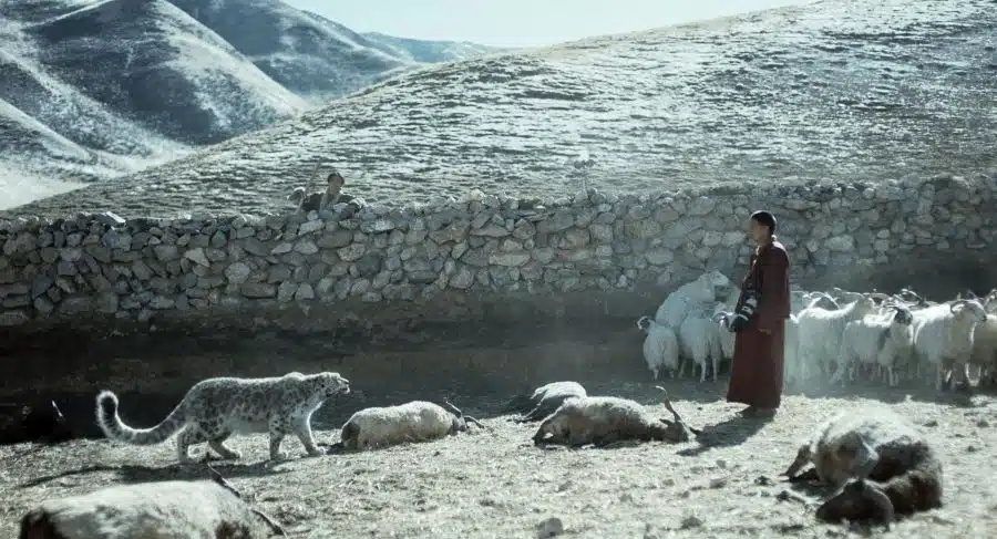 snow leopard.hero