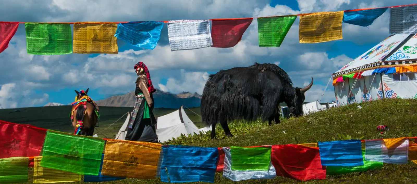 media/img/hero/Festival.webp